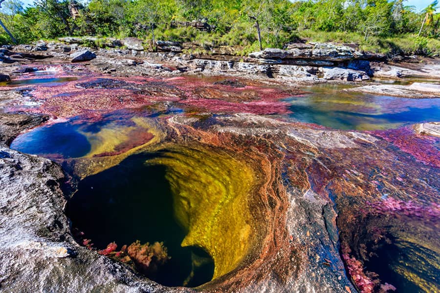 Cano Cristales, Colombia
