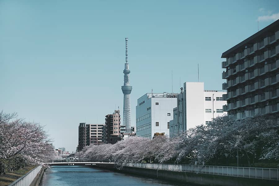 Tokyo is a vibrant and exciting city