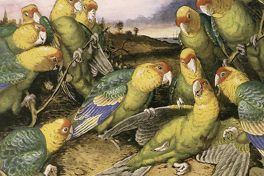 Who is famous for painting birds in his naturalist works?