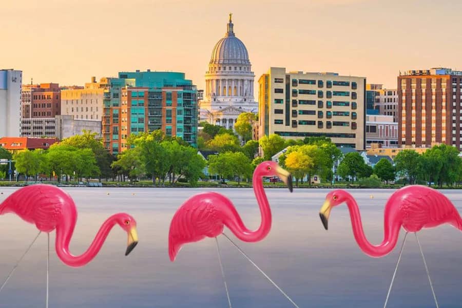 Which Wisconsin city named the plastic pink flamingo its official bird?
