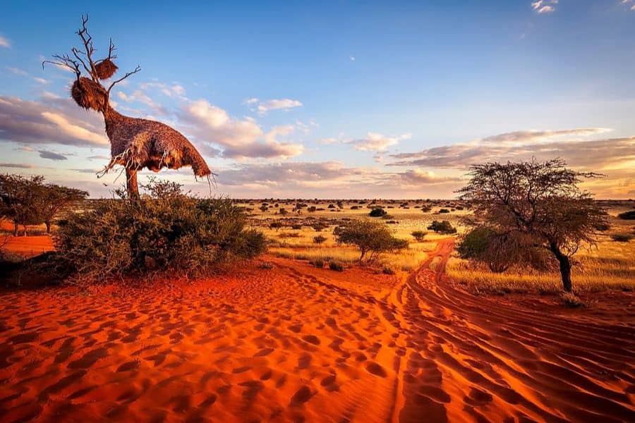 The Kalahari Desert spans Botswana, Namibia, and which other country?