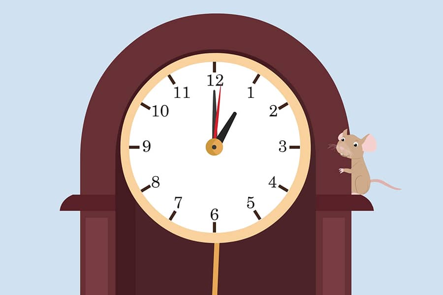 What nursery rhyme has the line 