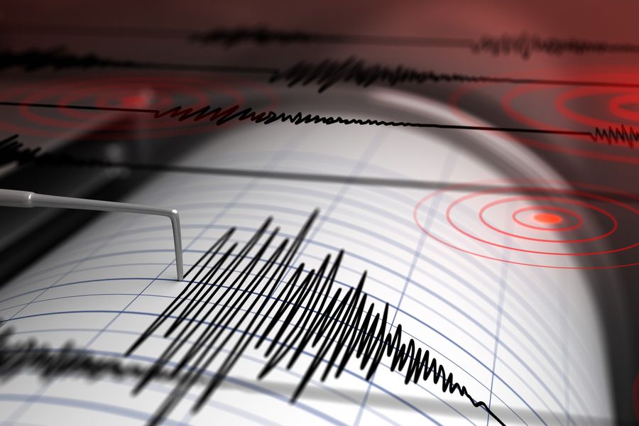 Which scientific field studies earthquakes?